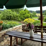 Silver Rokytnice nad Jizerou