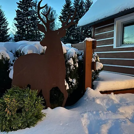 Silver Apartment Rokytnice nad Jizerou