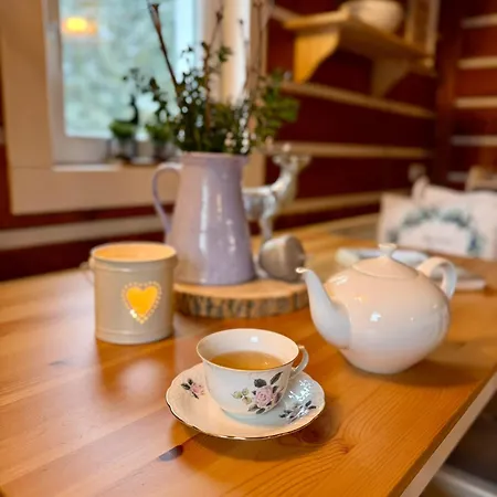 银色公寓 公寓 捷克布杰约维采